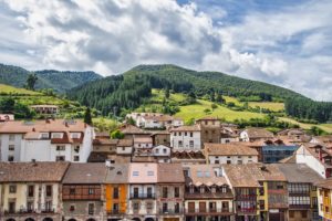 Viajar con perros a Cantabria – Consejos para unas vacaciones perfectas