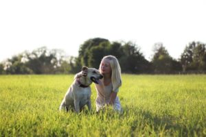 Encuentra al compañero perfecto: realiza el test del perro ideal